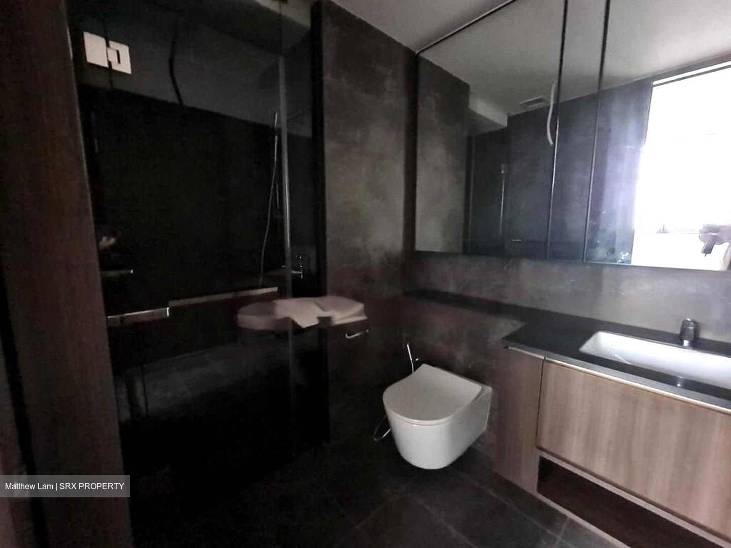 Kopar At Newton (D9), Apartment #477866671